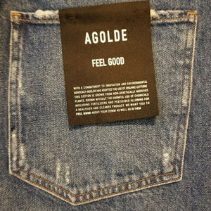 Agolde Riley Hi Rise Straight Distressed Lowdown